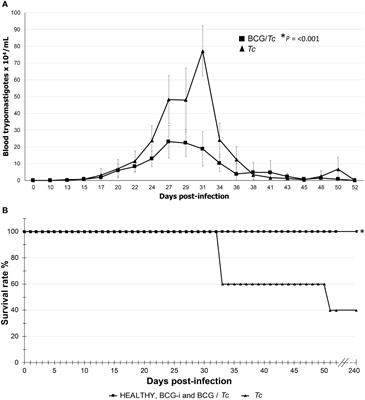 Mycobacterium bovis BCG as immunostimulating agent prevents the severe form of chronic experimental Chagas disease